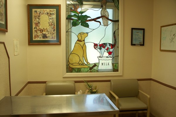 Consultation Exam Room