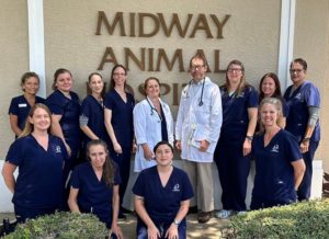 Midway Animal Hospital – Midway Animal Hospital